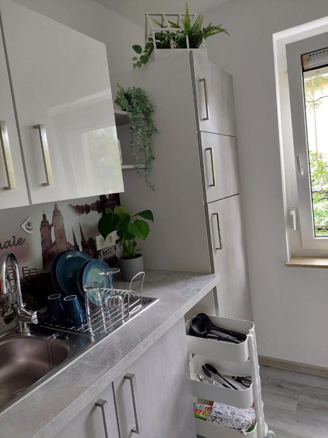 Gemuetliches, Voll Ausgestattetes Apartment Halle  Extérieur photo